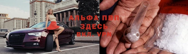 ешки Богданович