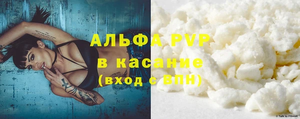 ешки Богданович