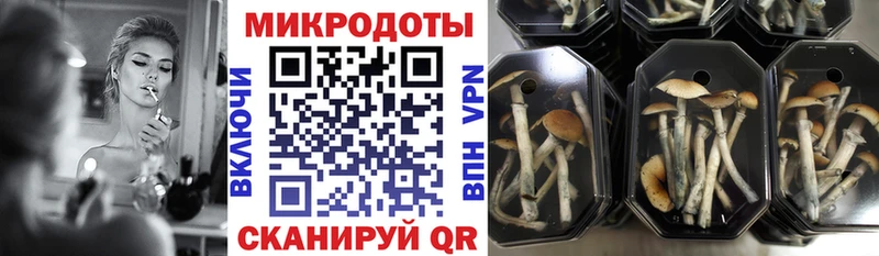 мориарти наркотические препараты цены Воскресенск Галлюциногенные грибы GOLDEN TEACHER